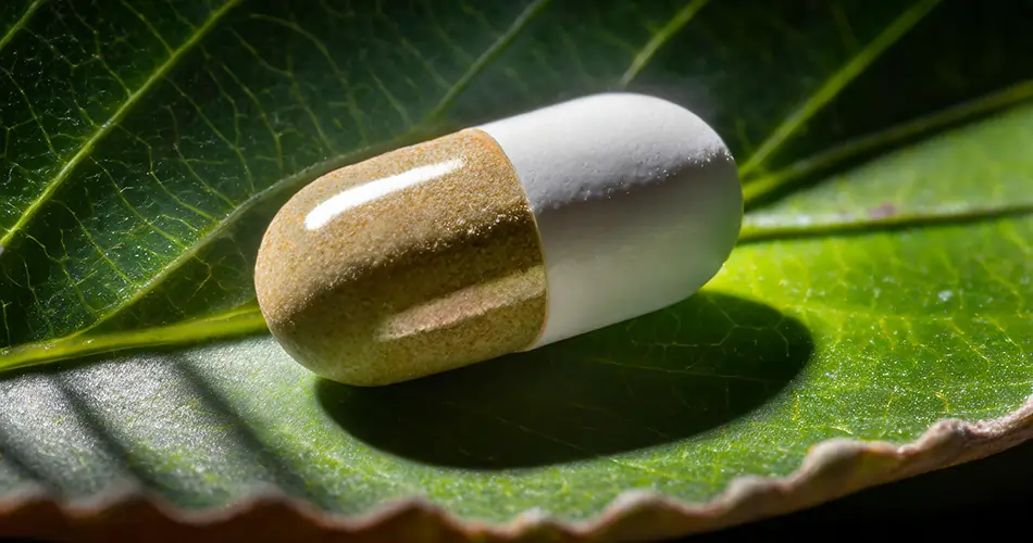 Natural Alternatives to Smart Drugs